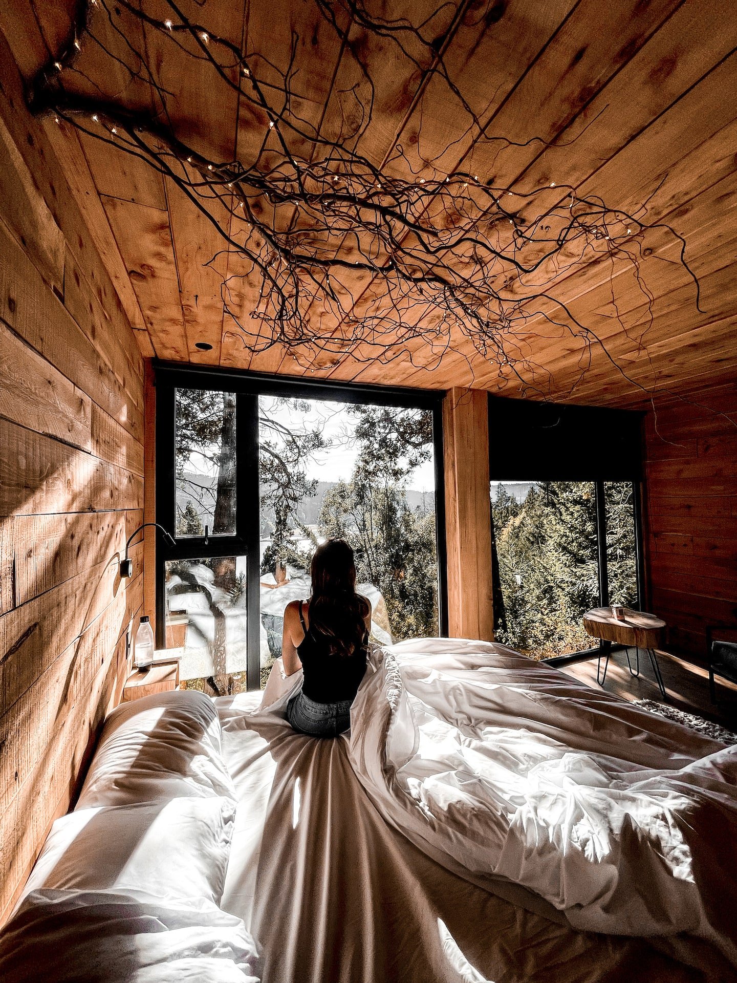 Guest sitting on the bed facing the window, with forest views